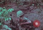 Image of 1st Battalion of 173rd Airborne Brigade Vietnam, 1965, second 52 stock footage video 65675022713