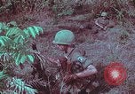 Image of 1st Battalion of 173rd Airborne Brigade Vietnam, 1965, second 53 stock footage video 65675022713