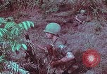 Image of 1st Battalion of 173rd Airborne Brigade Vietnam, 1965, second 54 stock footage video 65675022713