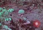 Image of 1st Battalion of 173rd Airborne Brigade Vietnam, 1965, second 55 stock footage video 65675022713