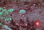 Image of 1st Battalion of 173rd Airborne Brigade Vietnam, 1965, second 56 stock footage video 65675022713