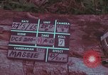 Image of 1st Battalion of 173rd Airborne Brigade Vietnam, 1965, second 3 stock footage video 65675022714