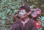 Image of 1st Battalion of 173rd Airborne Brigade Vietnam, 1965, second 11 stock footage video 65675022714