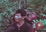 Image of 1st Battalion of 173rd Airborne Brigade Vietnam, 1965, second 14 stock footage video 65675022714