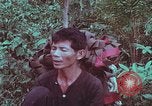 Image of 1st Battalion of 173rd Airborne Brigade Vietnam, 1965, second 16 stock footage video 65675022714