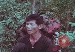 Image of 1st Battalion of 173rd Airborne Brigade Vietnam, 1965, second 18 stock footage video 65675022714