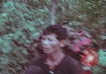Image of 1st Battalion of 173rd Airborne Brigade Vietnam, 1965, second 19 stock footage video 65675022714