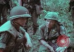 Image of 1st Battalion of 173rd Airborne Brigade Vietnam, 1965, second 24 stock footage video 65675022714
