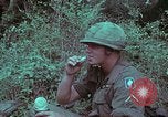 Image of 1st Battalion of 173rd Airborne Brigade Vietnam, 1965, second 34 stock footage video 65675022714