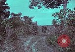 Image of 1st Battalion of 173rd Airborne Brigade Vietnam, 1965, second 14 stock footage video 65675022715