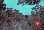 Image of 1st Battalion of 173rd Airborne Brigade Vietnam, 1965, second 15 stock footage video 65675022715