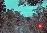 Image of 1st Battalion of 173rd Airborne Brigade Vietnam, 1965, second 16 stock footage video 65675022715