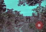 Image of 1st Battalion of 173rd Airborne Brigade Vietnam, 1965, second 17 stock footage video 65675022715