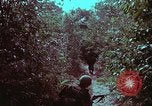 Image of 1st Battalion of 173rd Airborne Brigade Vietnam, 1965, second 18 stock footage video 65675022715