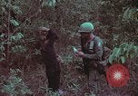 Image of 1st Battalion of 173rd Airborne Brigade Vietnam, 1965, second 26 stock footage video 65675022715