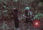 Image of 1st Battalion of 173rd Airborne Brigade Vietnam, 1965, second 27 stock footage video 65675022715