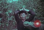 Image of 1st Battalion of 173rd Airborne Brigade Vietnam, 1965, second 31 stock footage video 65675022715