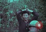 Image of 1st Battalion of 173rd Airborne Brigade Vietnam, 1965, second 34 stock footage video 65675022715