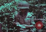 Image of 1st Battalion of 173rd Airborne Brigade Vietnam, 1965, second 41 stock footage video 65675022715