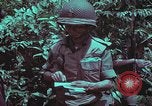 Image of 1st Battalion of 173rd Airborne Brigade Vietnam, 1965, second 43 stock footage video 65675022715