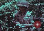 Image of 1st Battalion of 173rd Airborne Brigade Vietnam, 1965, second 44 stock footage video 65675022715