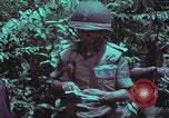 Image of 1st Battalion of 173rd Airborne Brigade Vietnam, 1965, second 45 stock footage video 65675022715