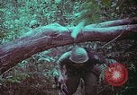 Image of 1st Battalion of 173rd Airborne Brigade Vietnam, 1965, second 53 stock footage video 65675022715