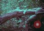 Image of 1st Battalion of 173rd Airborne Brigade Vietnam, 1965, second 54 stock footage video 65675022715