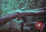 Image of 1st Battalion of 173rd Airborne Brigade Vietnam, 1965, second 55 stock footage video 65675022715