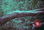 Image of 1st Battalion of 173rd Airborne Brigade Vietnam, 1965, second 58 stock footage video 65675022715