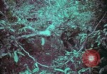 Image of 1st Battalion of 173rd Airborne Brigade Vietnam, 1965, second 59 stock footage video 65675022715