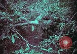 Image of 1st Battalion of 173rd Airborne Brigade Vietnam, 1965, second 61 stock footage video 65675022715