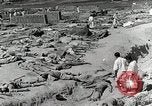 Image of Dead bodies of South Koreans Taegu Korea, 1950, second 8 stock footage video 65675022718