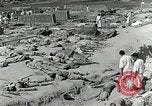 Image of Dead bodies of South Koreans Taegu Korea, 1950, second 9 stock footage video 65675022718
