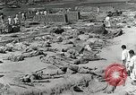Image of Dead bodies of South Koreans Taegu Korea, 1950, second 10 stock footage video 65675022718