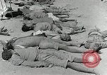 Image of Dead bodies of South Koreans Taegu Korea, 1950, second 15 stock footage video 65675022718