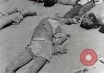 Image of Dead bodies of South Koreans Taegu Korea, 1950, second 17 stock footage video 65675022718