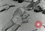 Image of Dead bodies of South Koreans Taegu Korea, 1950, second 18 stock footage video 65675022718