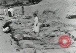 Image of Dead bodies of South Koreans Taegu Korea, 1950, second 20 stock footage video 65675022718