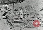 Image of Dead bodies of South Koreans Taegu Korea, 1950, second 22 stock footage video 65675022718