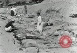 Image of Dead bodies of South Koreans Taegu Korea, 1950, second 24 stock footage video 65675022718
