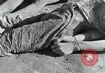 Image of Dead bodies of South Koreans Taegu Korea, 1950, second 41 stock footage video 65675022718