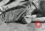 Image of Dead bodies of South Koreans Taegu Korea, 1950, second 42 stock footage video 65675022718