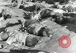 Image of Dead bodies of South Koreans Taegu Korea, 1950, second 43 stock footage video 65675022718