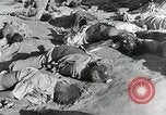 Image of Dead bodies of South Koreans Taegu Korea, 1950, second 46 stock footage video 65675022718