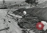 Image of Dead bodies of South Koreans Taegu Korea, 1950, second 54 stock footage video 65675022718