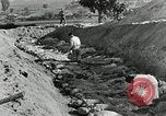 Image of Dead bodies of South Koreans Taegu Korea, 1950, second 55 stock footage video 65675022718