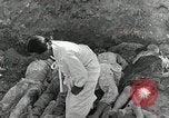 Image of Dead bodies of South Koreans Taegu Korea, 1950, second 60 stock footage video 65675022718