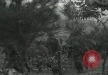 Standbild 187 Airborne Regimental Combat Team Munsan-ni Korea, 1950, aus Sekunde 44 historischem Filmmaterial Videoclip 65675022720