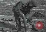 Image of 187th Regimental Combat Team Korea, 1950, second 41 stock footage video 65675022727